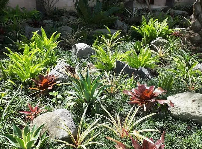 Krisna House 3*